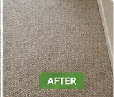 Carpet after cleaning